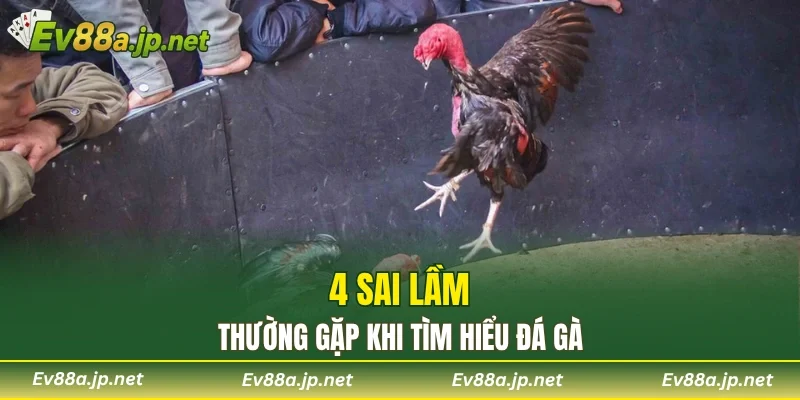 4 sai lầm thường gặp khi tìm hiểu đá gà