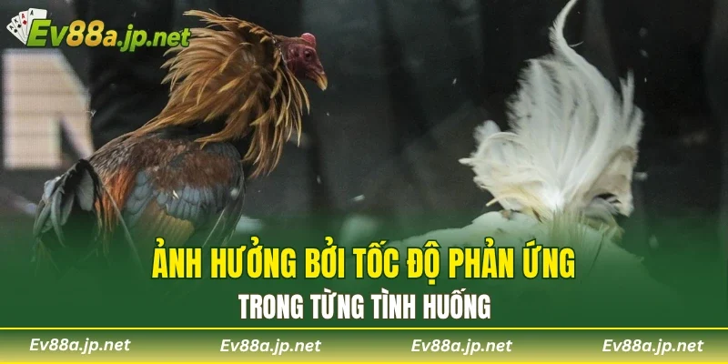 Ảnh hưởng bởi tốc độ phản ứng trong từng tình huống