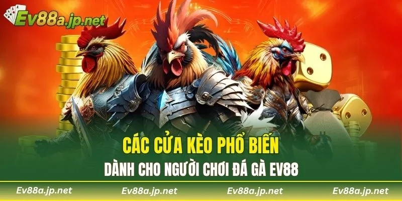 Các cửa kèo phổ biến dành cho người chơi Đá Gà EV88
