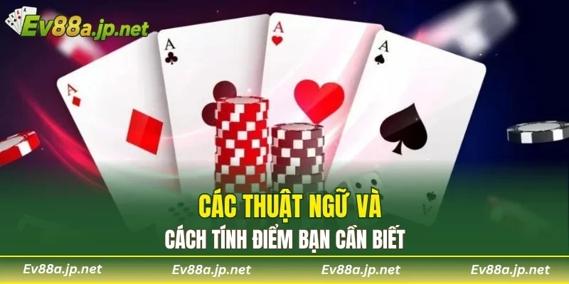 Các thuật ngữ và cách tính điểm bạn cần biết