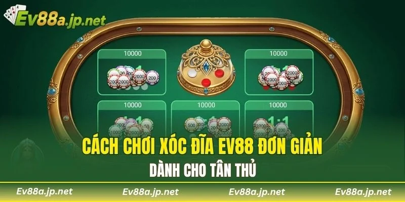 Cách chơi Xóc Đĩa EV88 đơn giản dành cho tân thủ