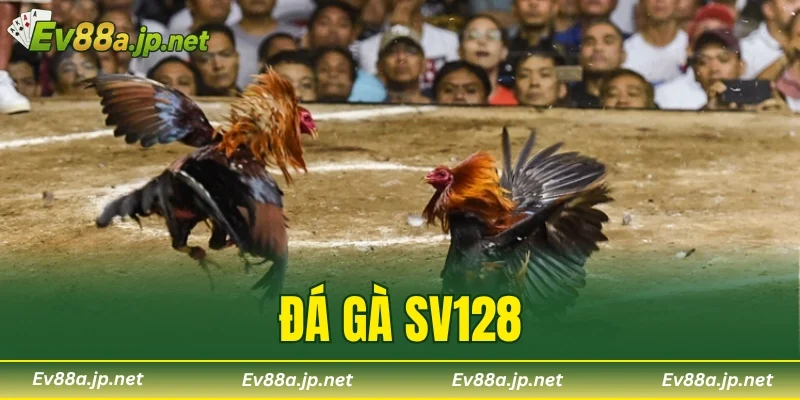 Đá Gà SV128