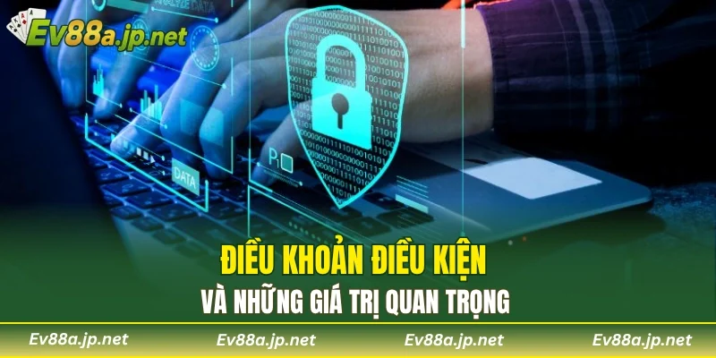 Điều khoản điều kiện và những giá trị quan trọng