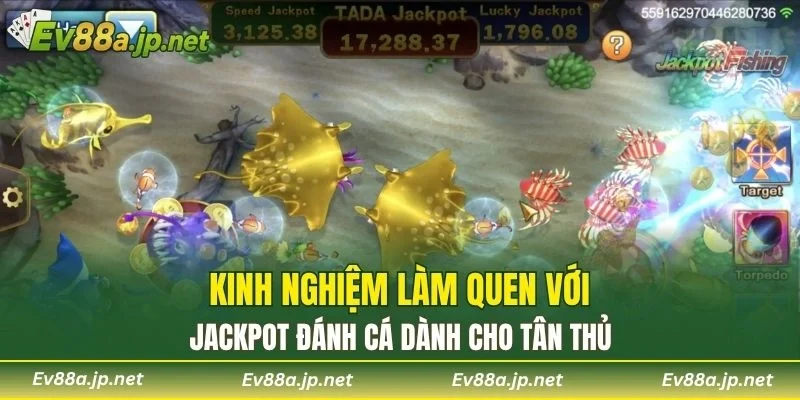Kinh nghiệm làm quen với Jackpot Đánh Cá dành cho tân thủ