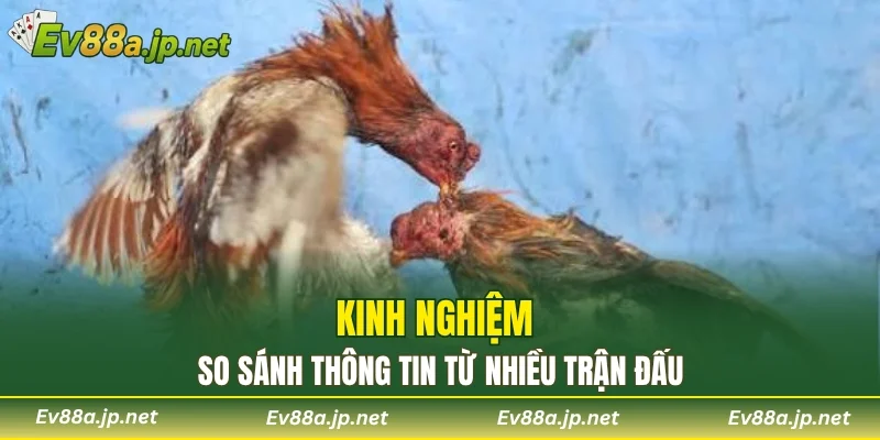 Kinh nghiệm so sánh thông tin từ nhiều trận đấu