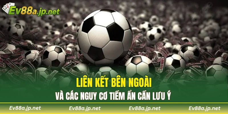 Liên kết bên ngoài và các nguy cơ tiềm ẩn cần lưu ý