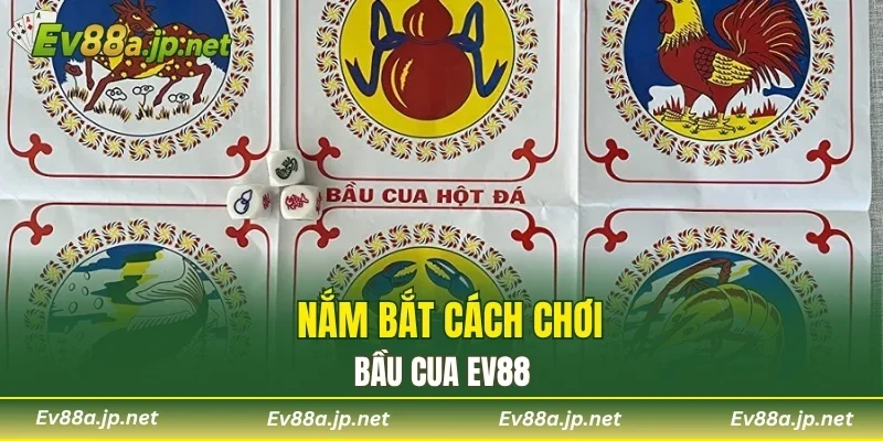 Nắm bắt cách chơi bầu cua EV88