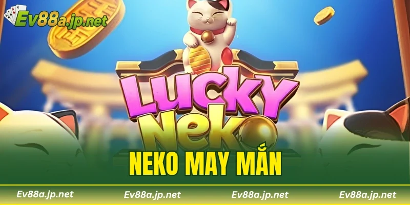 Neko May Mắn