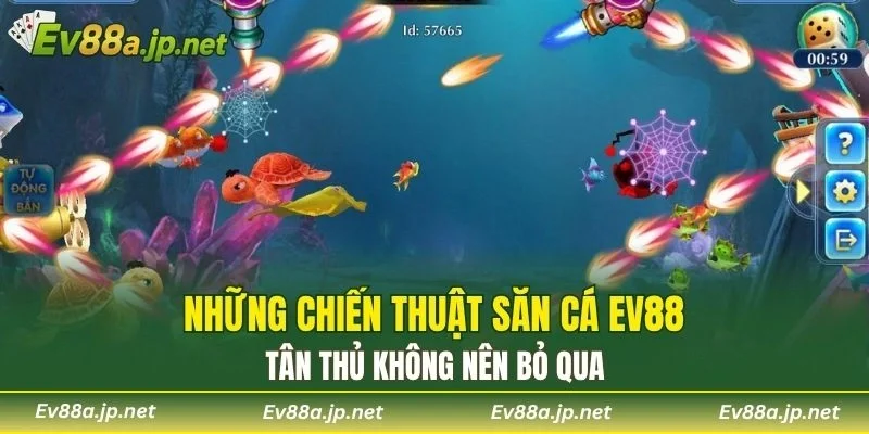 Những chiến thuật săn cá EV88 tân thủ không nên bỏ qua