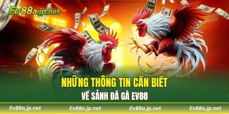 Những thông tin cần biết về sảnh Đá Gà EV88