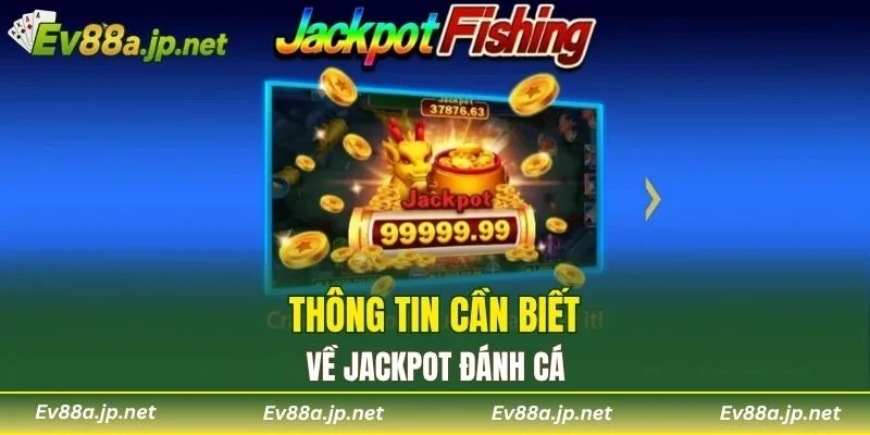 Thông tin cần biết về Jackpot Đánh Cá