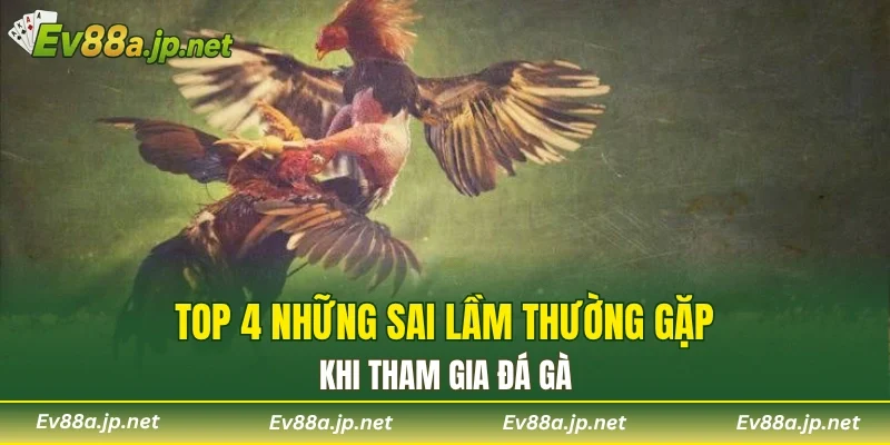 Top 4 những sai lầm thường gặp khi tham gia đá gà